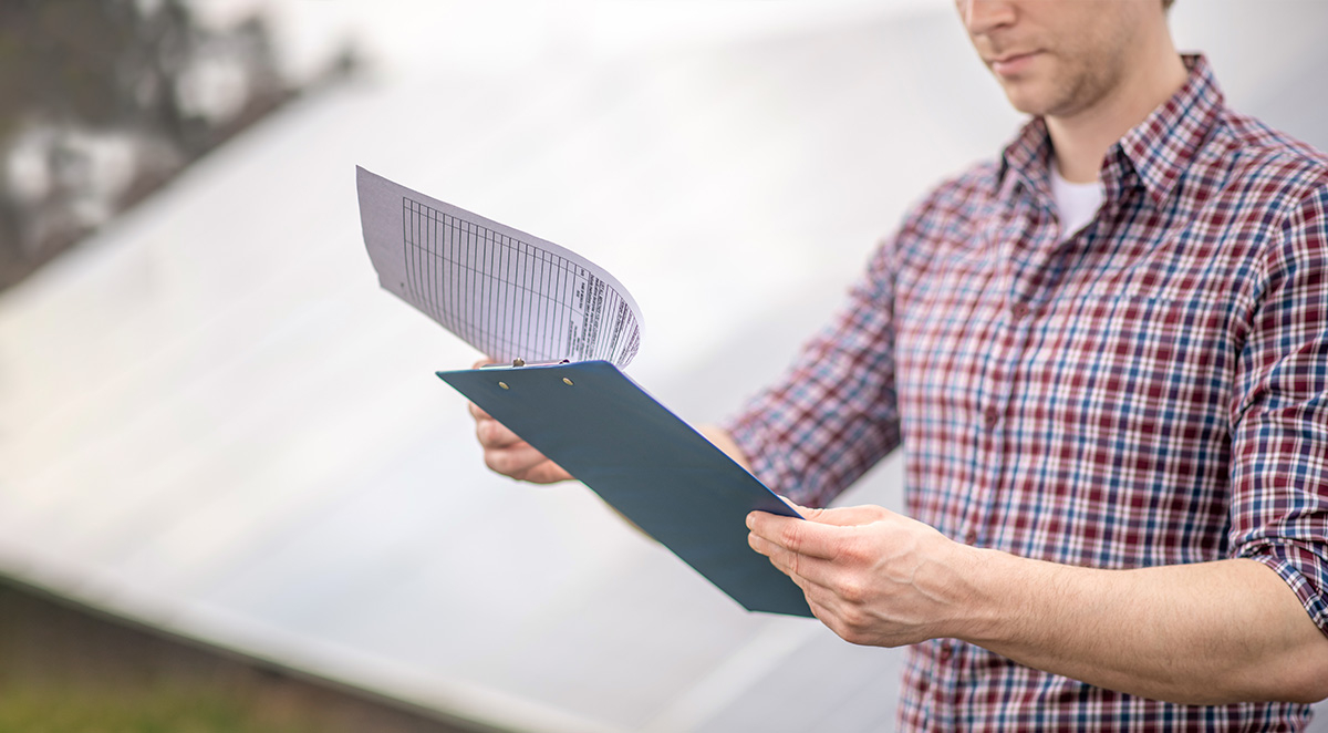 Everything You Need to Know About a Pre-Purchase Pest Inspection