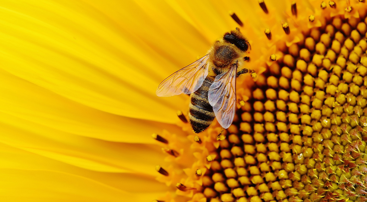 aaa036e4cb16038f90e128d8e39c714f Blog