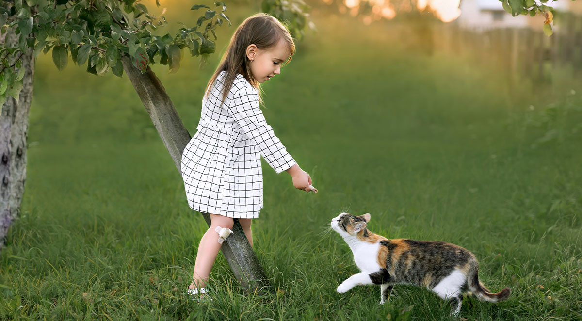 How to Get Rid of Fleas in Your Yard and Home